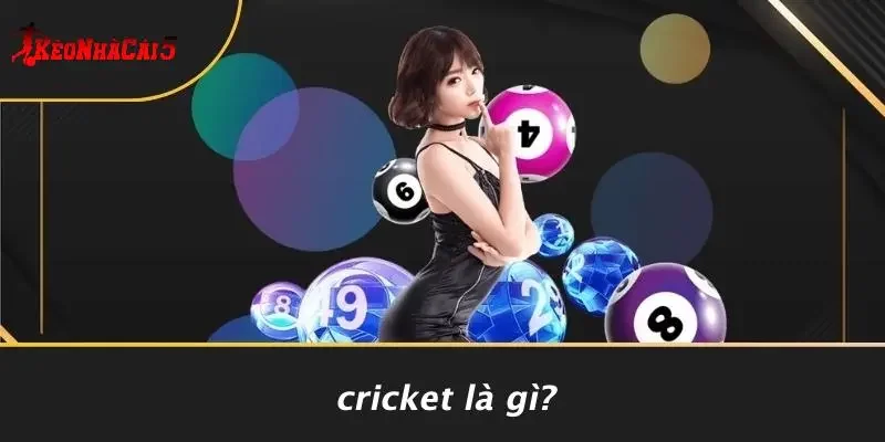 Cricket Là Gì?