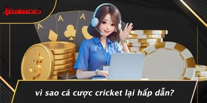 Vì Sao Cá Cược Cricket Lại Hấp Dẫn?
